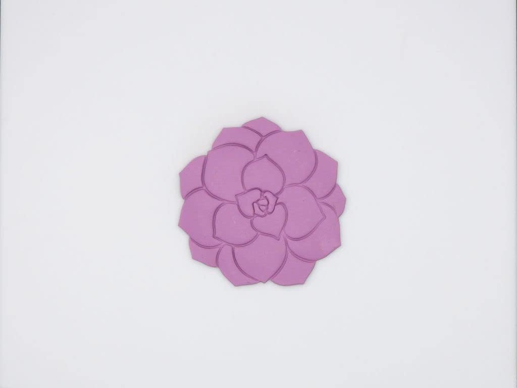Succulent Plant Cookie Cutter for Fondant