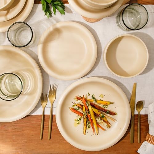 Bloomhouse Corsica Clay 12-Piece Dinnerware Set