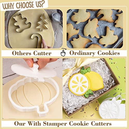 Flycalf Fruit Cookie Cutters with Stamper Set