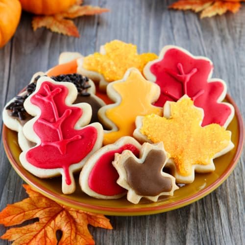 KAISHANE Thanksgiving Cookie Cutters Set 4 Pieces
