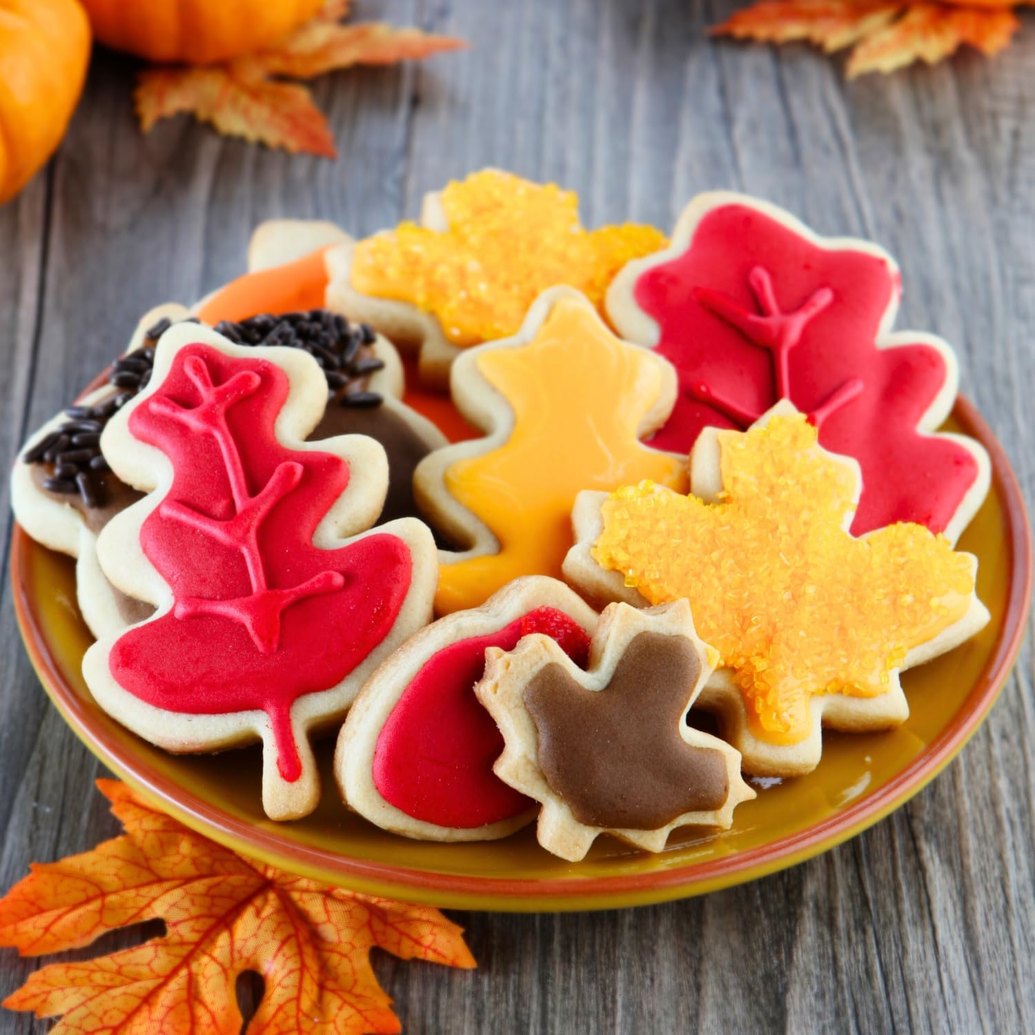 KAISHANE Thanksgiving Cookie Cutters Set 4 Pieces