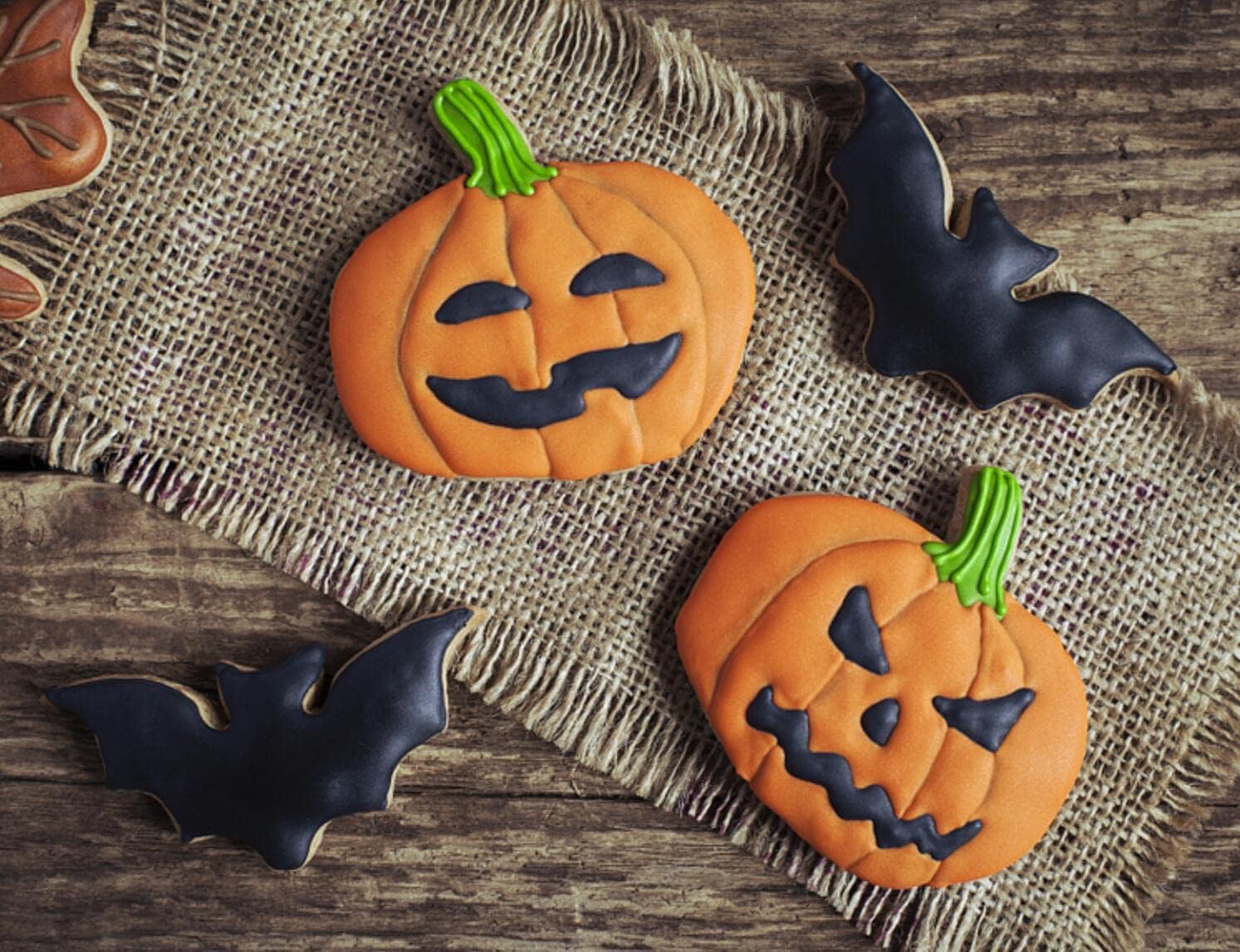 Q-BAKER Pumpkin Cookie Cutters Set - 3 Sizes